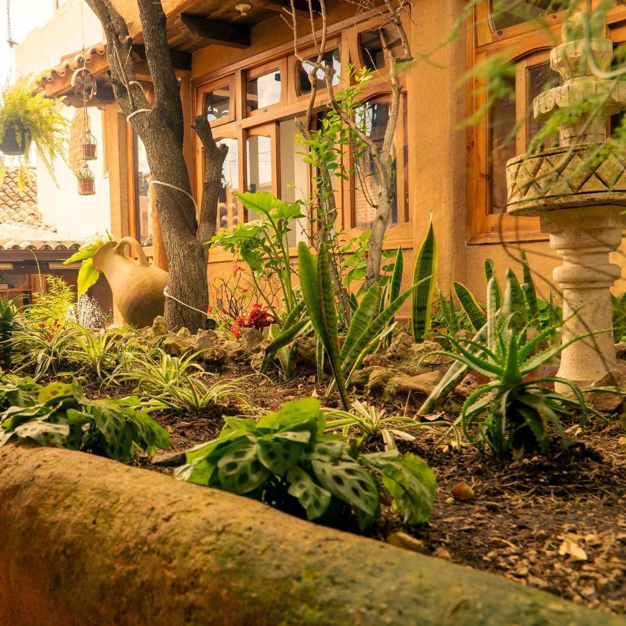 Hospedaje Boutique Paz Creativa Сан-Кристобаль-де-Ла-Касас Экстерьер фото