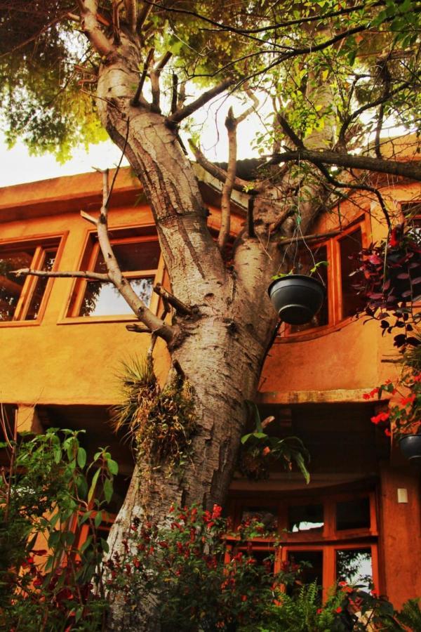 Hospedaje Boutique Paz Creativa Сан-Кристобаль-де-Ла-Касас Экстерьер фото